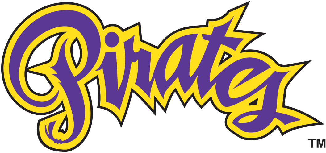 East Carolina Pirates 1999-2013 Wordmark Logo t shirts iron on transfers v4
